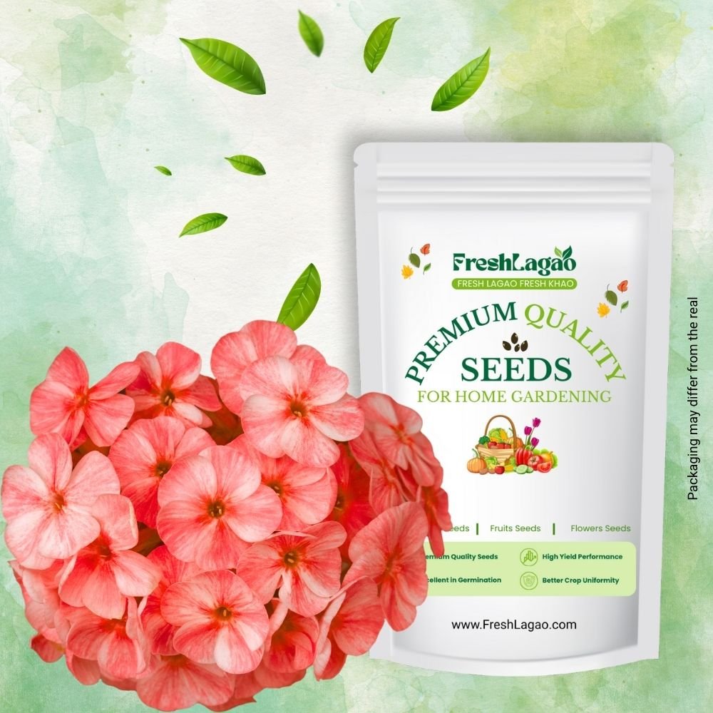 Phlox Beauty Dwarf Red Seeds