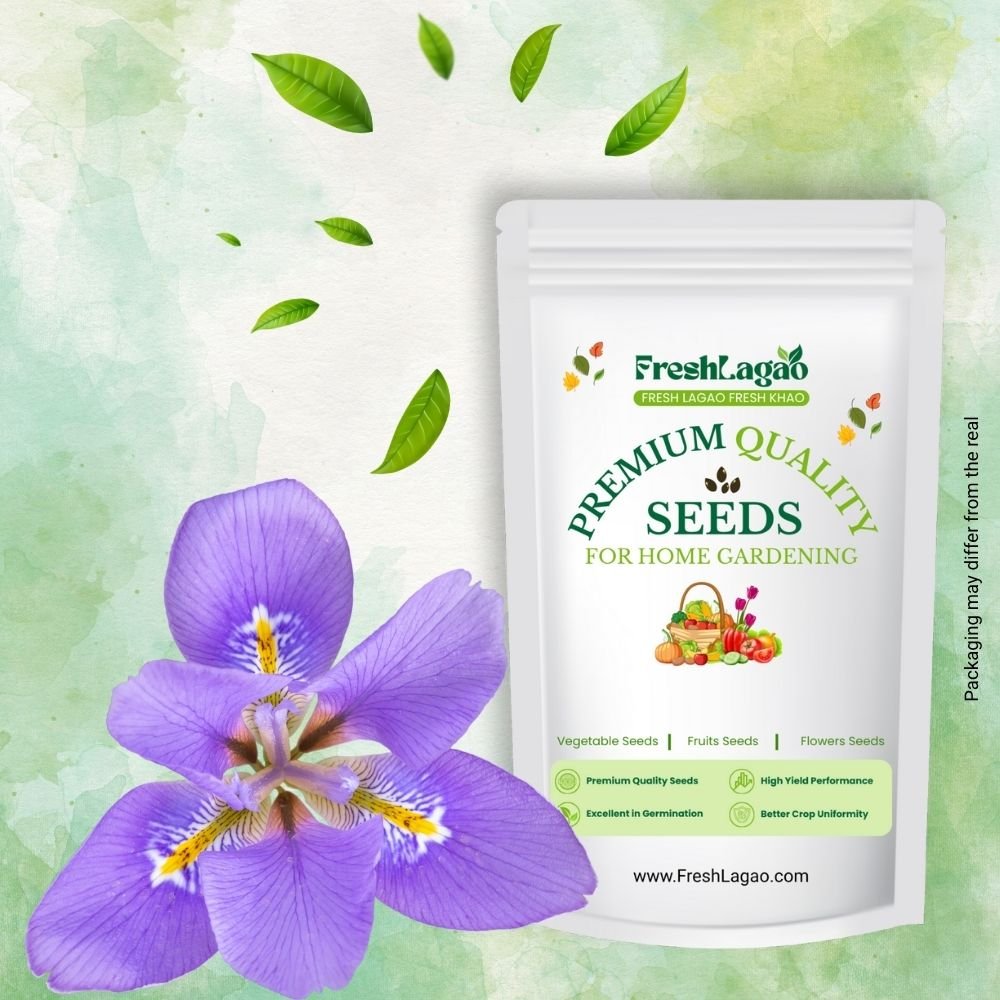 Brachycome Mix Flower Seeds