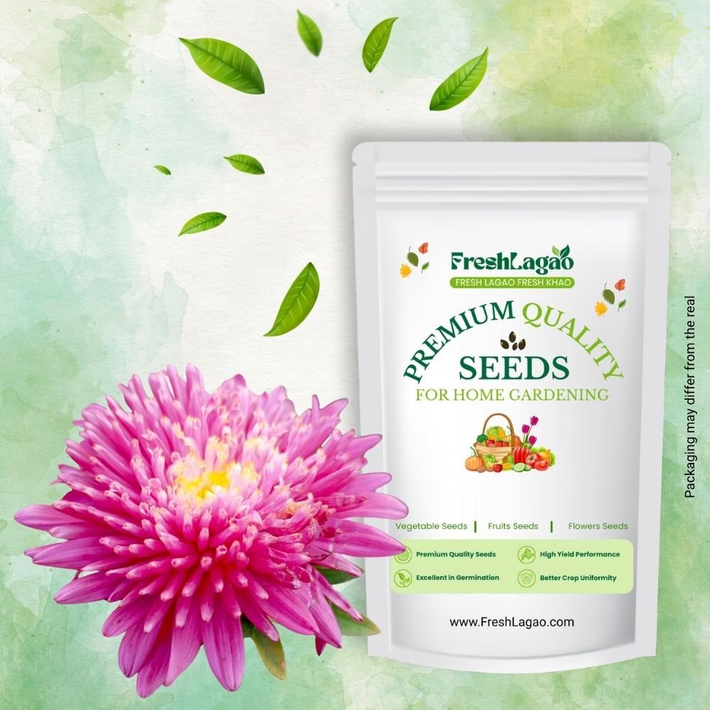 China Aster Mixed Flower Seed