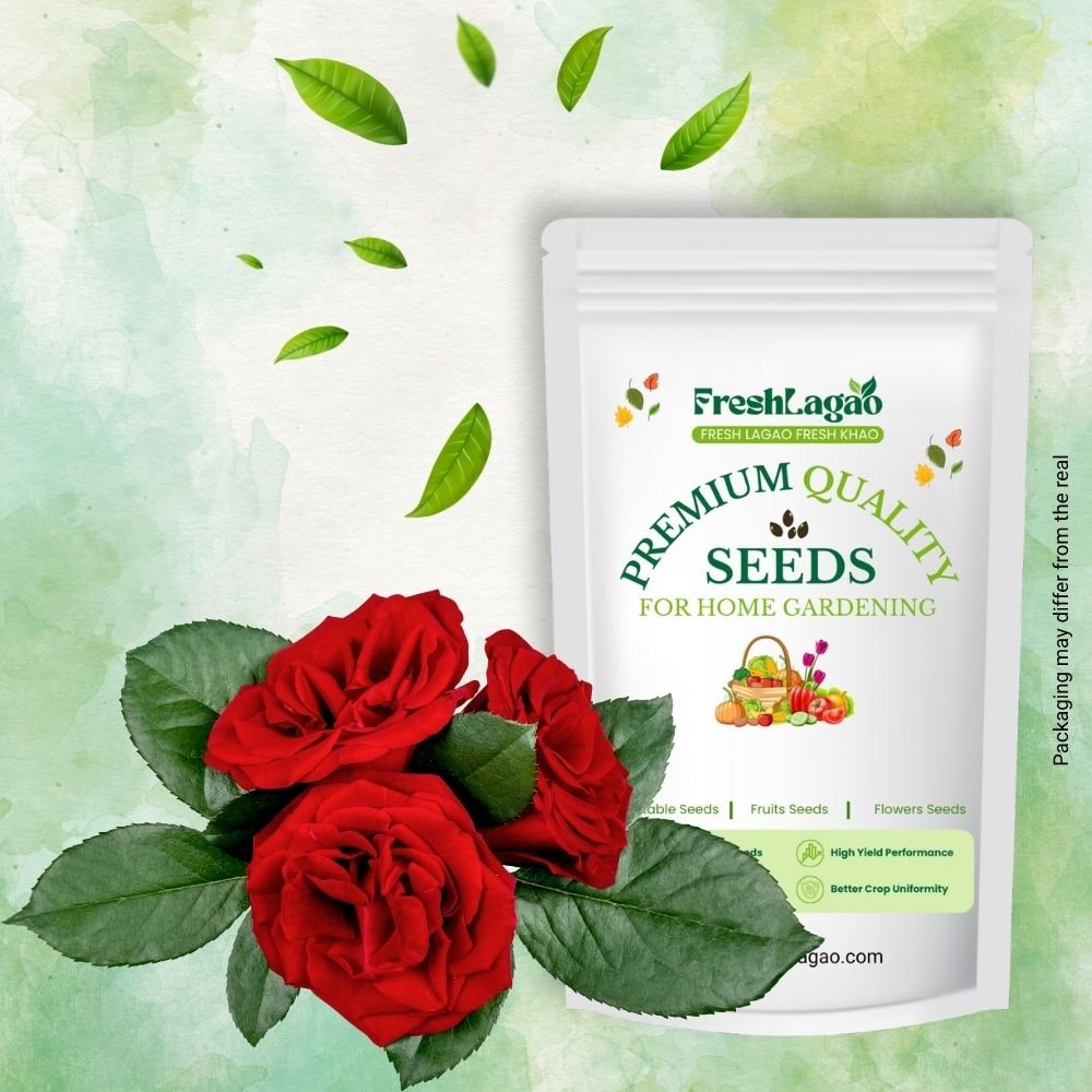 Acroclinium Red Flower Seeds