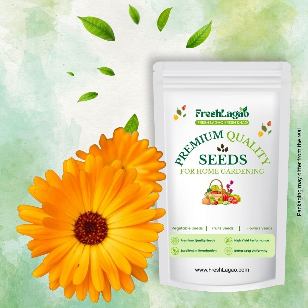 Venidium fastuosum Orange Seeds