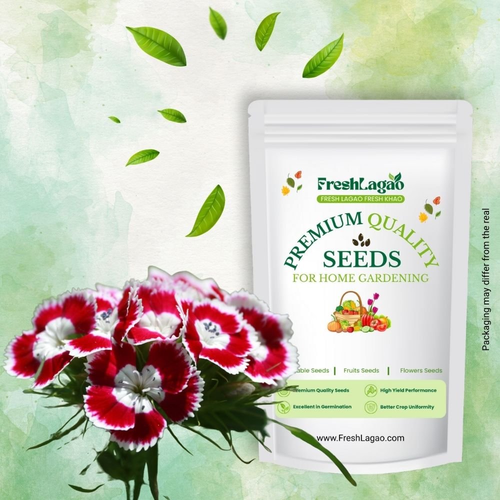 Sweet William Wee Willie Mix