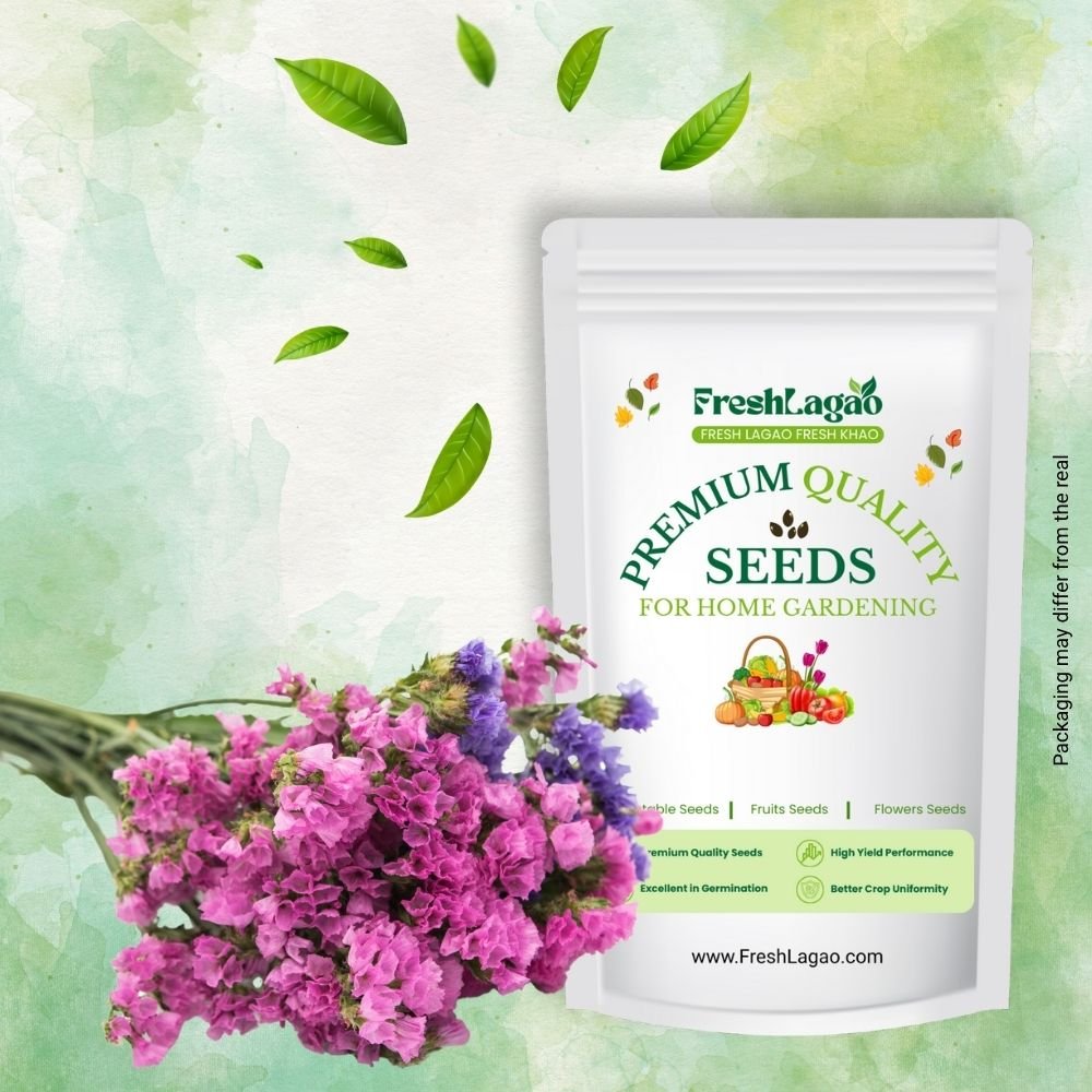 Statice Pacific Yellow Seeds