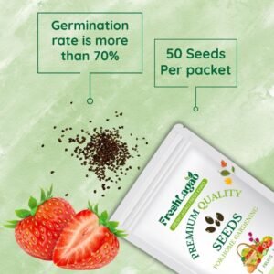 Alpine Strawberries Seeds