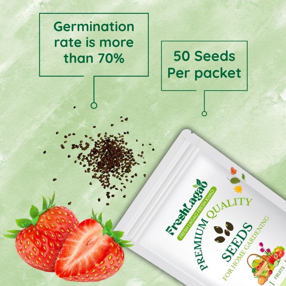 Alpine Strawberries Seeds - Image 2