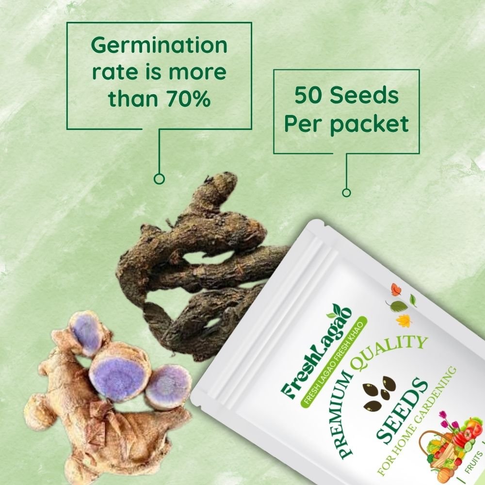 Original Black Turmeric - Image 2