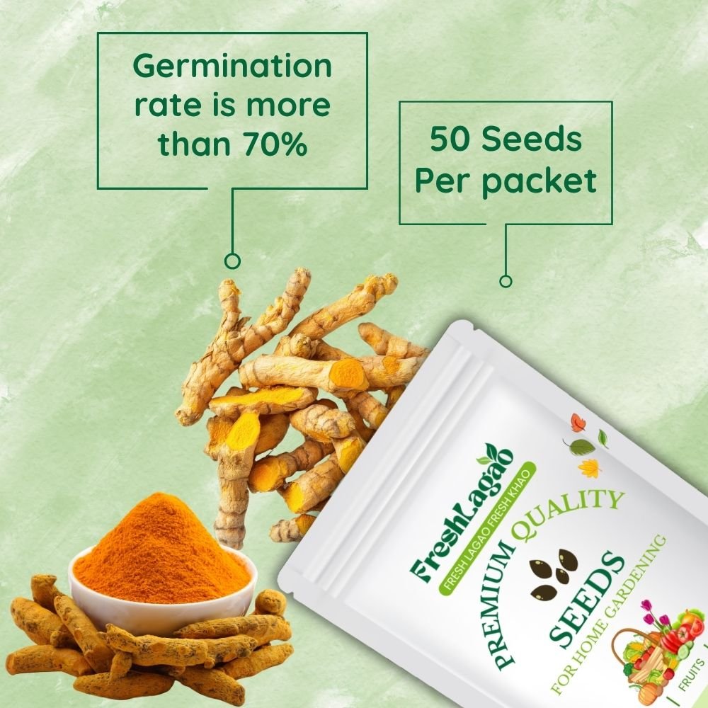Yellow Turmeric Seeds - Image 2