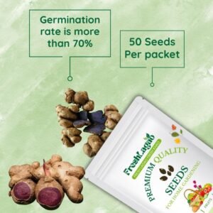 Black Ginger/Kaempferia parviflora Root/Seeds For Planting/Growing/Sowing