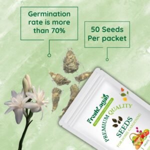 Tuberose White Flower Bulbs