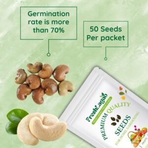 Cashew (Kaju Beej) Seeds