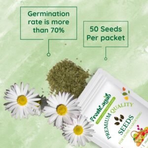 Daisy Pomponette Mix Seeds