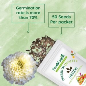 Marigold White Flower Seeds
