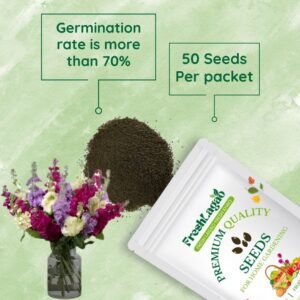 Stock Mixed Color Flower Seed