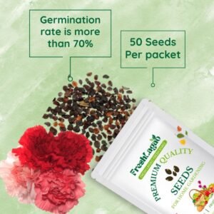 Carnation Mix Seeds
