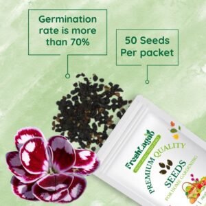 Dianthus Baby Doll Mix Seeds