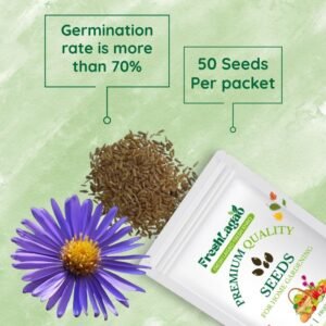 Aster Formula Mix Seeds