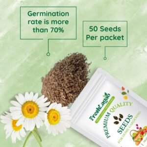 Daisy Double Mix Seeds