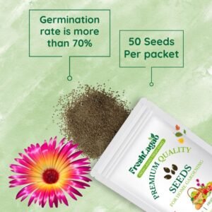 Mesembryanthemum Mix Seeds