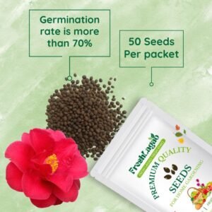 Balsam Camellia Flowered Mix Seeds