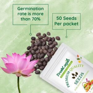 Lotus Flower Mixed Color Seeds