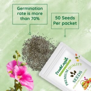 Hollyhock Summer Carnival Mix Seeds