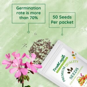 Geranium Mix Seeds