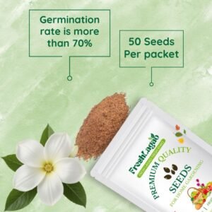 Alyssum White Flower Seeds
