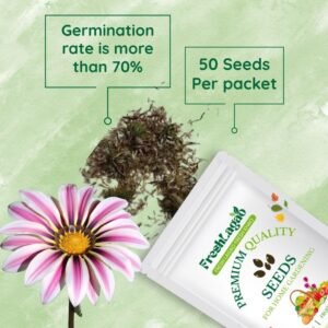 Gazania Star Light Dwarf Mix seeds