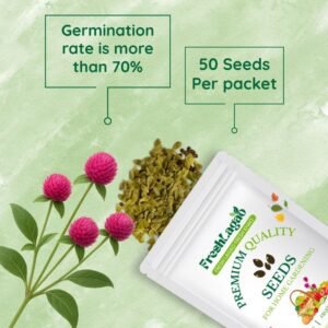 Gomphrena Strawberry Fields flower Seeds