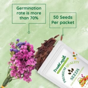 Statice Pacific Mix Seeds