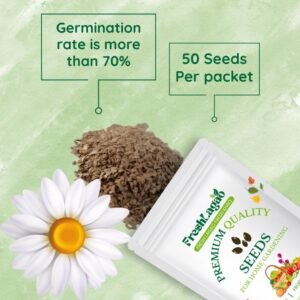 Daisy Double White Seeds