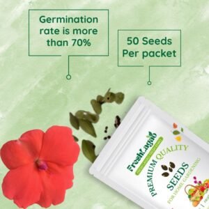 Impatiens Baby Dwarf Mixed Seeds