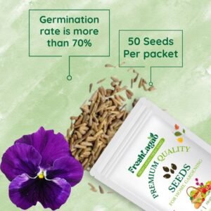 Acroclinium Double Mix Seed