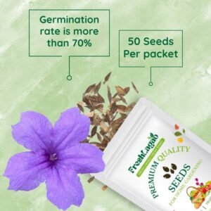 Zinnia Purple Flower Seeds