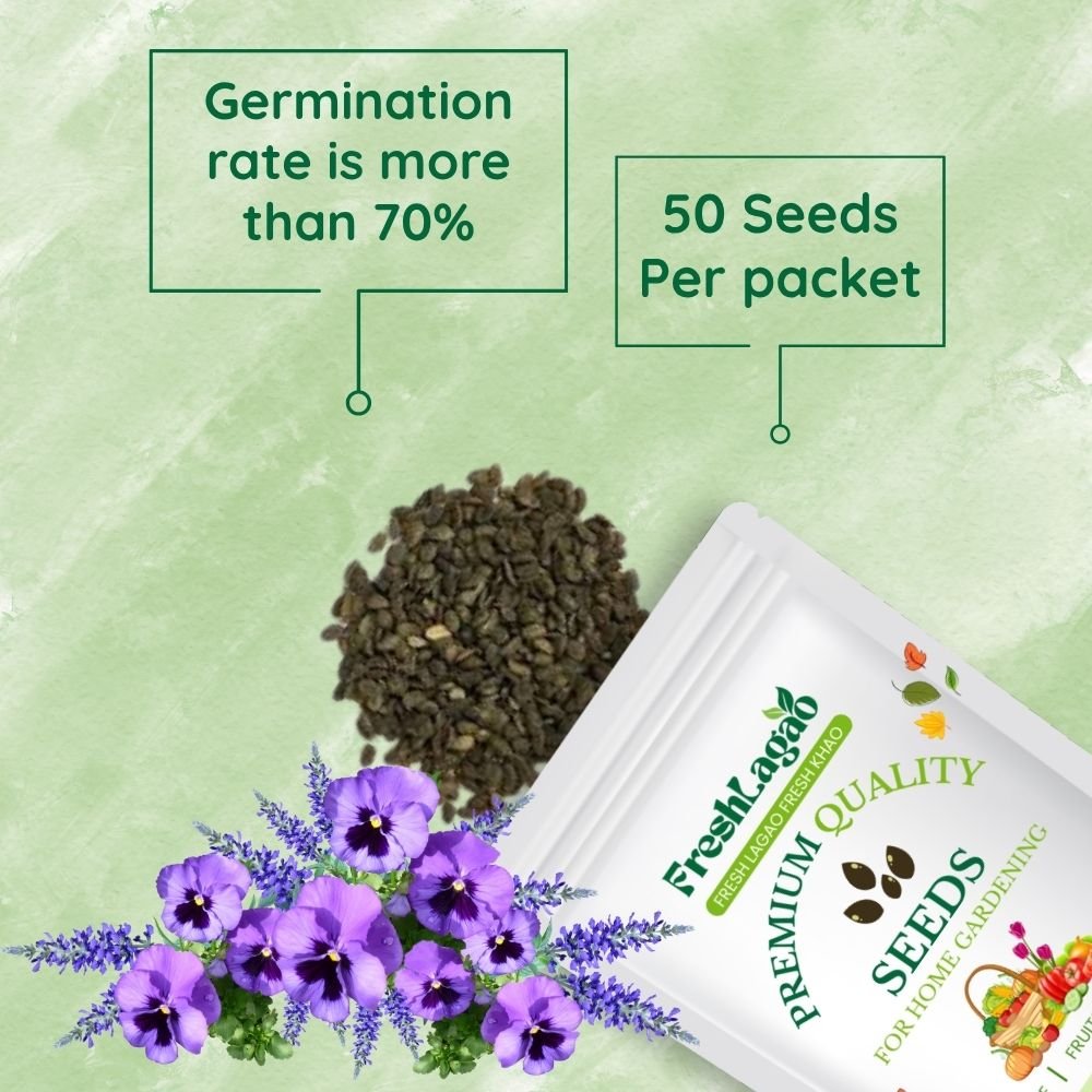 Brachycome Mix Flower Seeds - Image 2