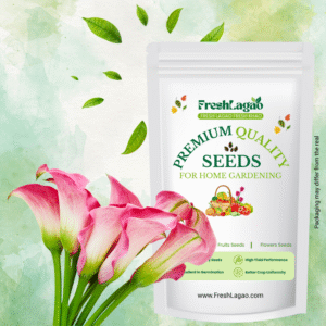 Calla Lily Pink Flower Bulbs