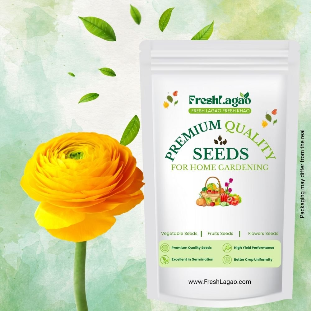 Ranunculus Yellow Flower Bulbs