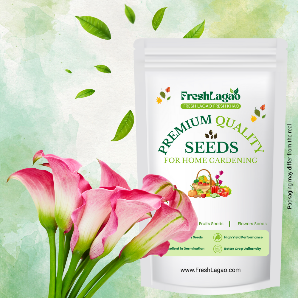 Calla Lily Pink Flower Bulbs