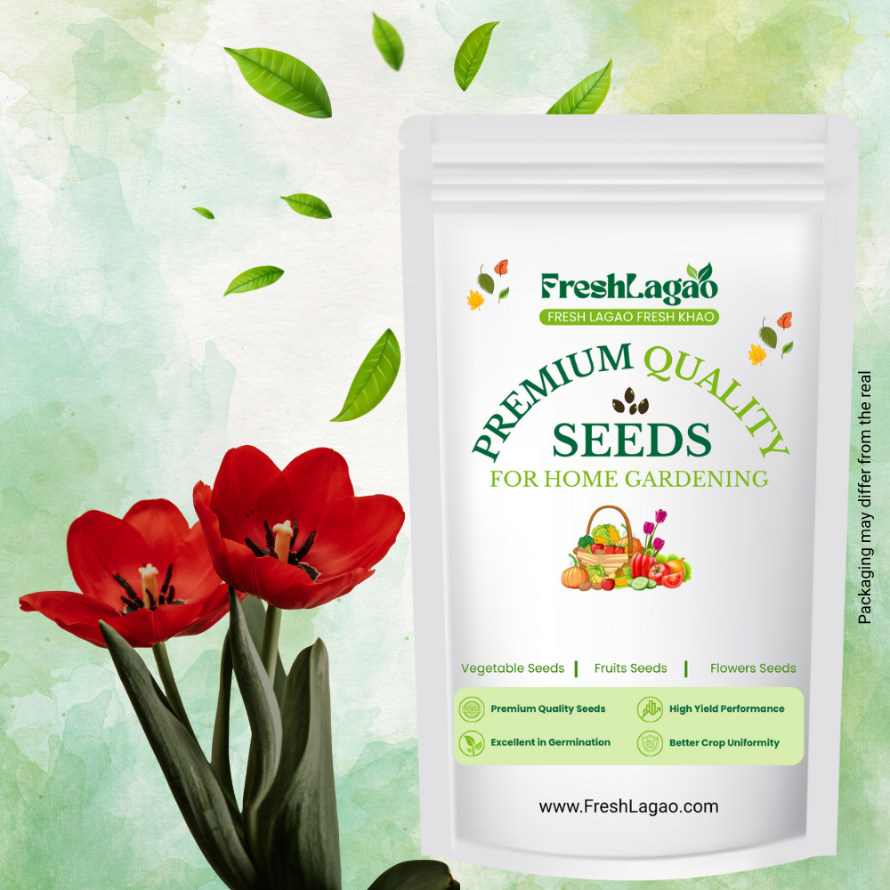 Tulip Red Flower Bulbs