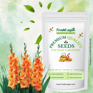 Gladiolus Orange Flower Bulbs (05N)