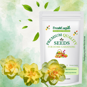 Narcissus Tahiti Flower Bulbs (05 Bulbs)