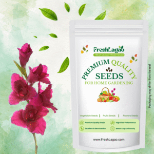 Gladiolus Pink Flower Bulbs (05N)