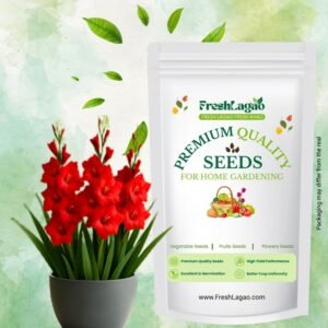 Gladiolus Red Flower Bulbs