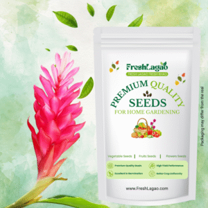 Ginger Lily Pink Flower Bulbs (05N)