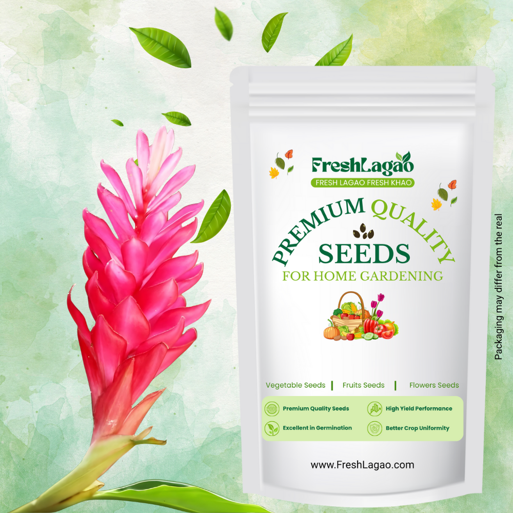 Ginger Lily Pink Flower Bulbs