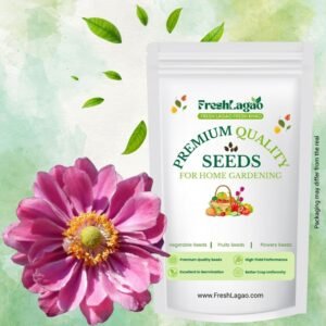 Anemone The Admiral (Pink)