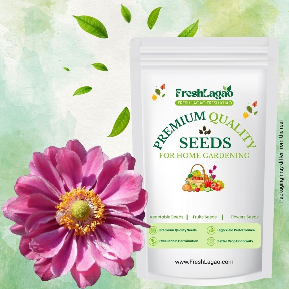 Anemone The Admiral (Pink)