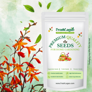 Crocosmia Montbretia Flower Bulbs