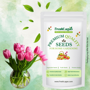 Tulip Claudia (Pink) Flower Bulbs