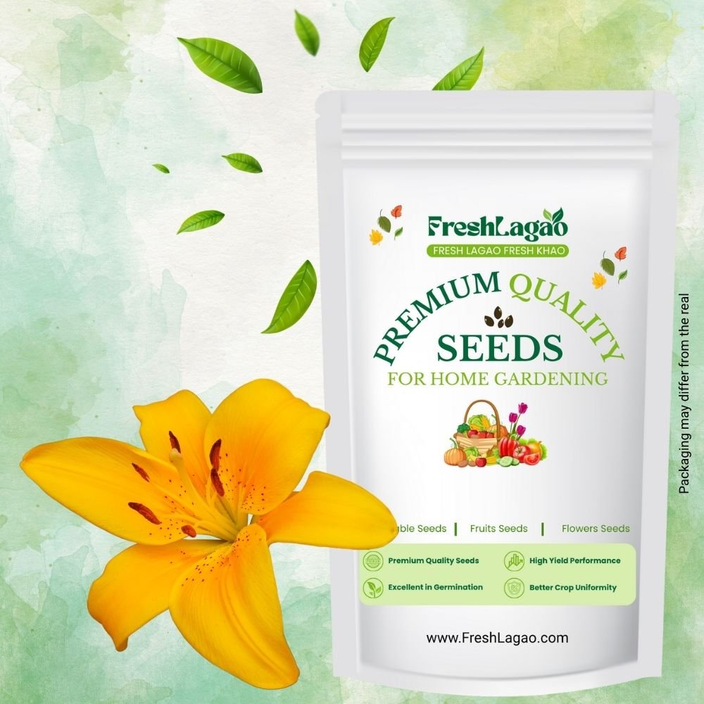 Asiatic (Lilium) Lily Flower Bulb